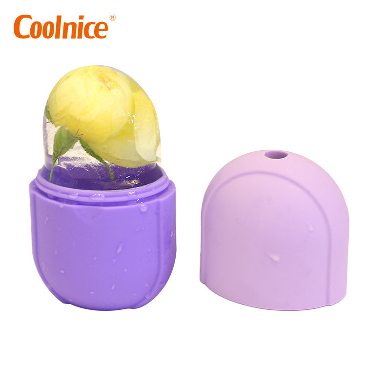 Cross-border Creative Pill Capsules Face Ice Grid Cold Compress Care Shrink Pores Ice Massage Ice Roller Ice Face