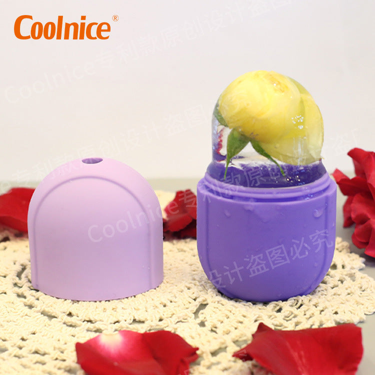 Cross-border Creative Pill Capsules Face Ice Grid Cold Compress Care Shrink Pores Ice Massage Ice Roller Ice Face