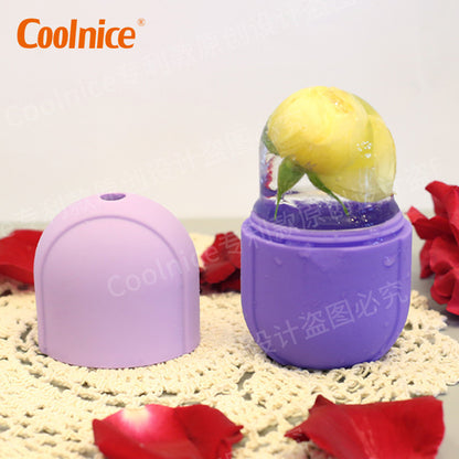 Cross-border Creative Pill Capsules Face Ice Grid Cold Compress Care Shrink Pores Ice Massage Ice Roller Ice Face